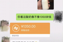 闪电借款催收流程:高效、合规、人性化的债务回收之道 闪电借款催收流程:高效、合规、人性化的债务回收之道